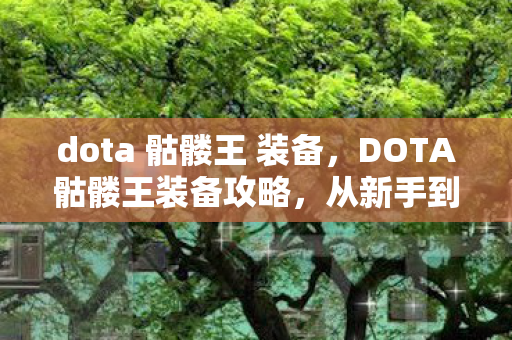 dota 骷髅王 装备,DOTA骷髅王装备攻略,从新手到高手的全面解析 dota 骷髅王 装备,DOTA骷髅王装备攻略,从新手到高手的全面解析