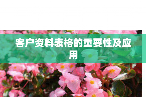 客户资料表格的重要性及应用