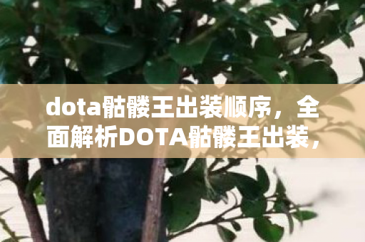 dota骷髅王出装顺序，全面解析DOTA骷髅王出装，让你轻松掌握核心装备搭配！
