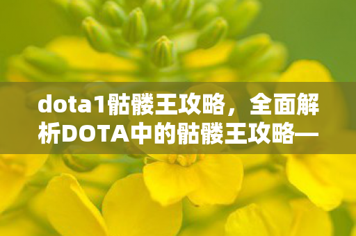 dota1骷髅王攻略，全面解析DOTA中的骷髅王攻略—从技能到装备，成为不死传说！