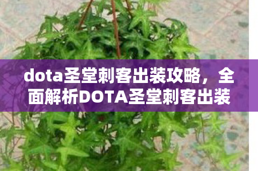 dota圣堂刺客出装攻略，全面解析DOTA圣堂刺客出装策略