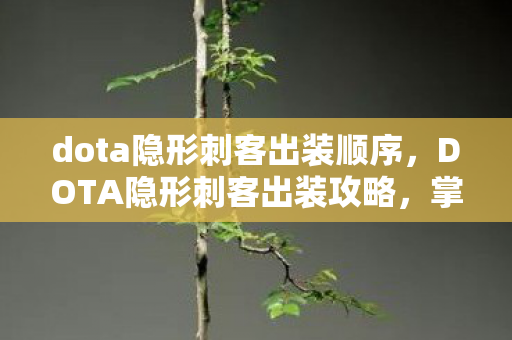 dota隐形刺客出装顺序，DOTA隐形刺客出装攻略，掌握核心装备，轻松提升战斗力！