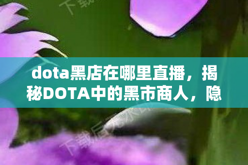 dota黑店在哪里直播，揭秘DOTA中的黑市商人，隐藏的秘密地点与神秘交易