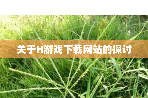 关于H游戏下载网站的探讨