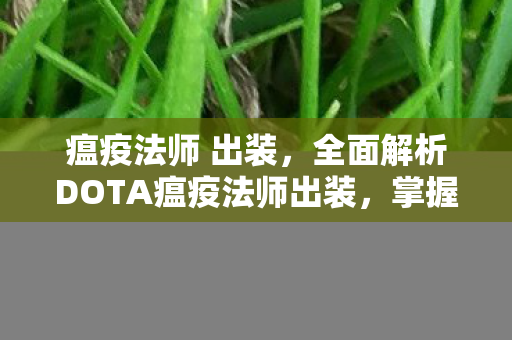 瘟疫法师 出装，全面解析DOTA瘟疫法师出装，掌握核心装备提升战力！