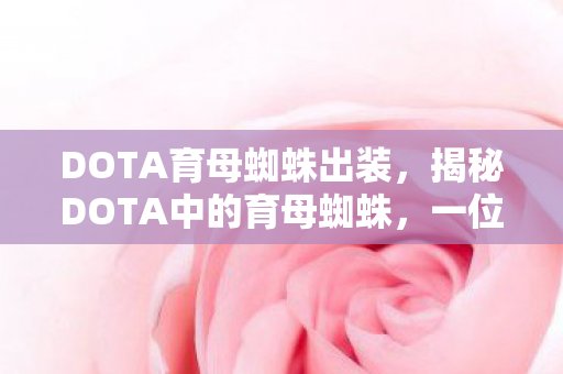 DOTA育母蜘蛛出装，揭秘DOTA中的育母蜘蛛，一位独特的英雄角色