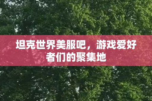 坦克世界美服吧,游戏爱好者们的聚集地 坦克世界美服吧,游戏爱好者们的聚集地