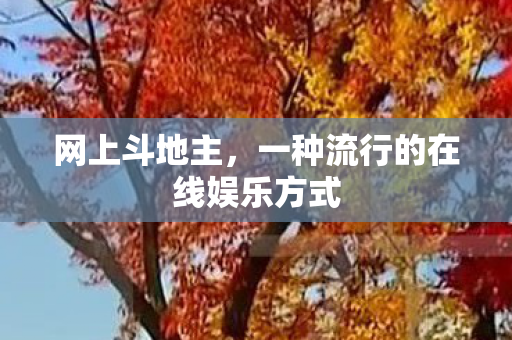 网上斗地主,一种流行的在线娱乐方式 网上斗地主,一种流行的在线娱乐方式