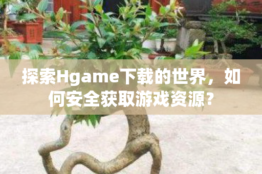 探索Hgame下载的世界,如何安全获取游戏资源? 探索Hgame下载的世界,如何安全获取游戏资源?
