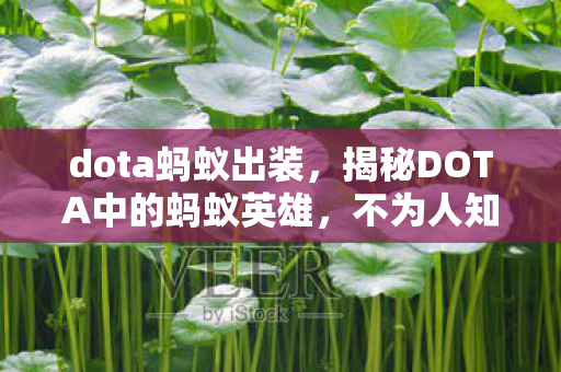 dota蚂蚁出装，揭秘DOTA中的蚂蚁英雄，不为人知的秘密与攻略技巧