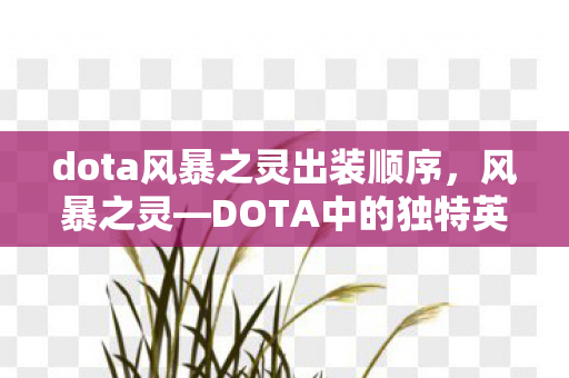 dota风暴之灵出装顺序，风暴之灵—DOTA中的独特英雄解析