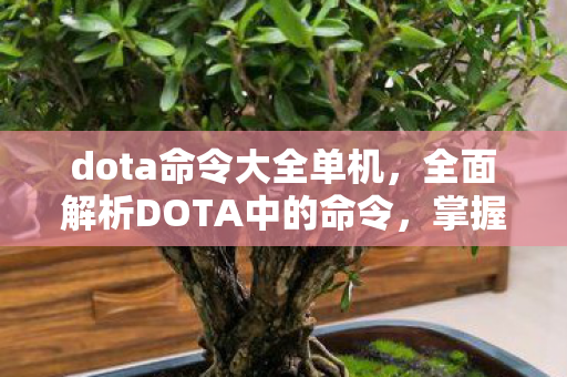 dota命令大全单机，全面解析DOTA中的命令，掌握游戏的关键指令