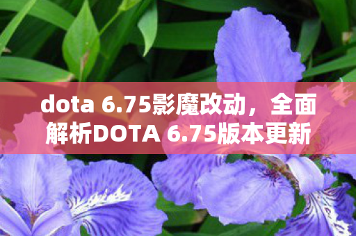 dota 6.75影魔改动,全面解析DOTA 6.75版本更新内容,带你领略新版本魅力! dota 6.75影魔改动,全面解析DOTA 6.75版本更新内容,带你领略新版本魅力!