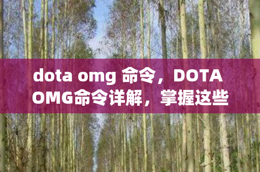 dota omg 命令，DOTA OMG命令详解，掌握这些命令，让你成为OMG王者！
