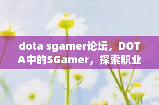 dota sgamer论坛，DOTA中的SGamer，探索职业电竞之路的无限可能