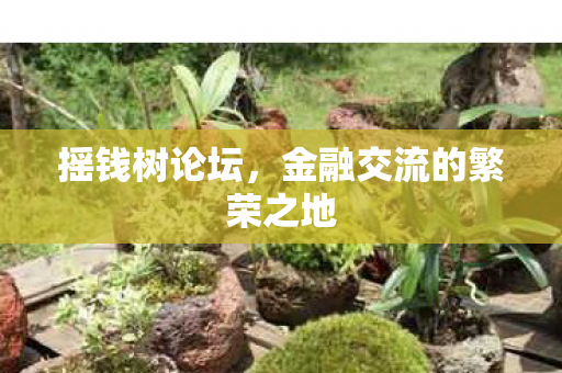 摇钱树论坛，金融交流的繁荣之地