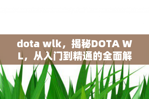 dota wlk，揭秘DOTA WL，从入门到精通的全面解析