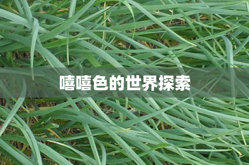 嘻嘻色的世界探索 嘻嘻色的世界探索