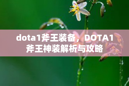 dota1斧王装备，DOTA1斧王神装解析与攻略