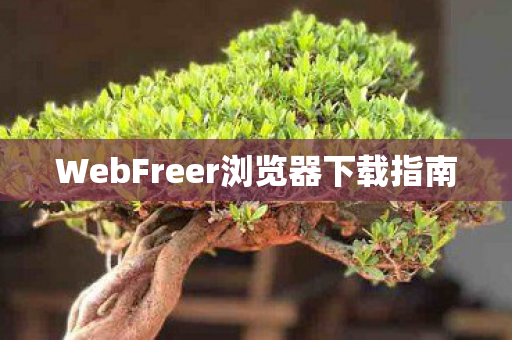 WebFreer浏览器下载指南 WebFreer浏览器下载指南