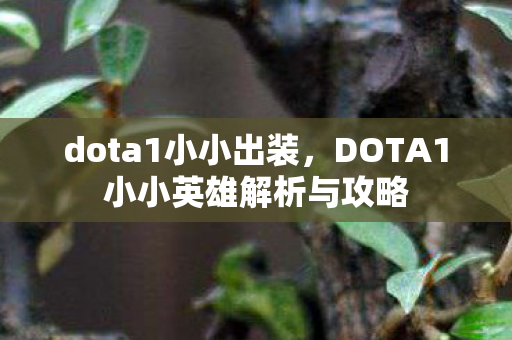 dota1小小出装,DOTA1小小英雄解析与攻略 dota1小小出装,DOTA1小小英雄解析与攻略
