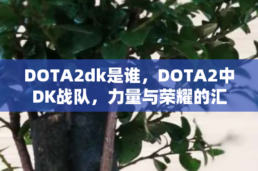 DOTA2dk是谁,DOTA2中DK战队,力量与荣耀的汇聚 DOTA2dk是谁,DOTA2中DK战队,力量与荣耀的汇聚