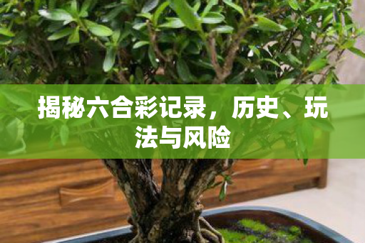 揭秘六合彩记录，历史、玩法与风险