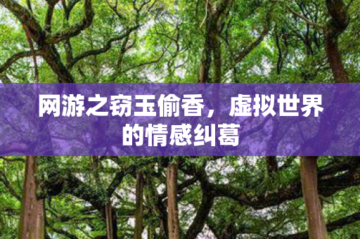 网游之窃玉偷香，虚拟世界的情感纠葛
