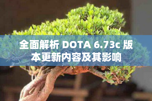 全面解析 DOTA 6.73c 版本更新内容及其影响