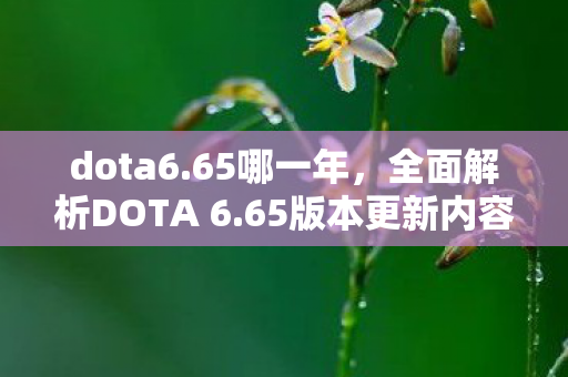 dota6.65哪一年，全面解析DOTA 6.65版本更新内容，带你领略新版本魅力！
