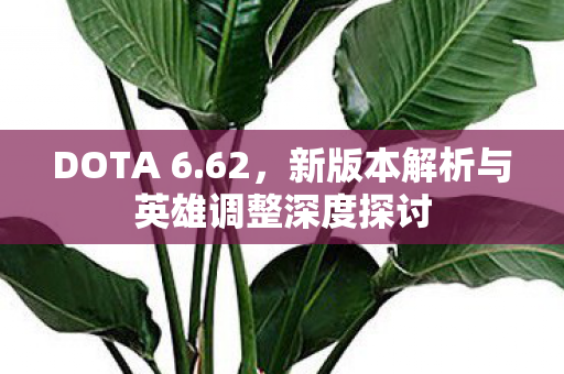 DOTA 6.62，新版本解析与英雄调整深度探讨