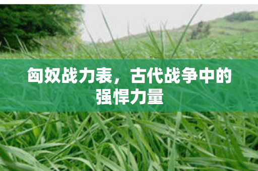 匈奴战力表，古代战争中的强悍力量