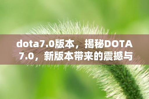dota7.0版本，揭秘DOTA 7.0，新版本带来的震撼与期待