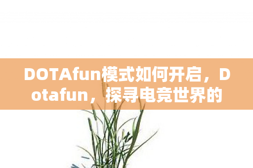 DOTAfun模式如何开启，Dotafun，探寻电竞世界的魅力之源