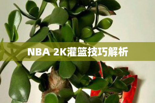 NBA 2K灌篮技巧解析