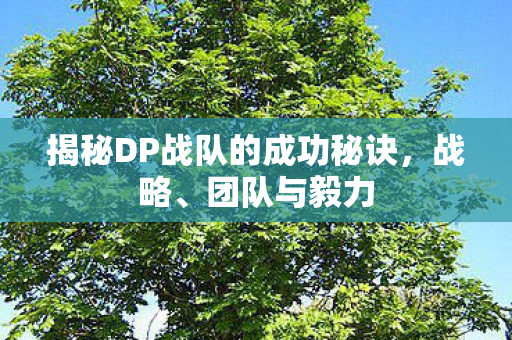 揭秘DP战队的成功秘诀，战略、团队与毅力