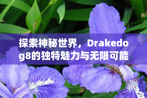 探索神秘世界，Drakedog8的独特魅力与无限可能