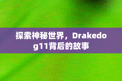 探索神秘世界，Drakedog11背后的故事