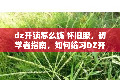 dz开锁怎么练 怀旧服，初学者指南，如何练习DZ开锁技能