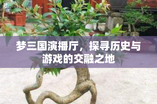 梦三国演播厅，探寻历史与游戏的交融之地