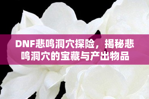 DNF悲鸣洞穴探险,揭秘悲鸣洞穴的宝藏与产出物品 DNF悲鸣洞穴探险,揭秘悲鸣洞穴的宝藏与产出物品