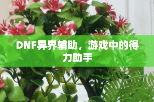 DNF异界辅助，游戏中的得力助手