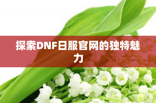 探索DNF日服官网的独特魅力