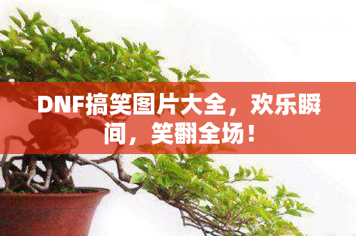 DNF搞笑图片大全，欢乐瞬间，笑翻全场！