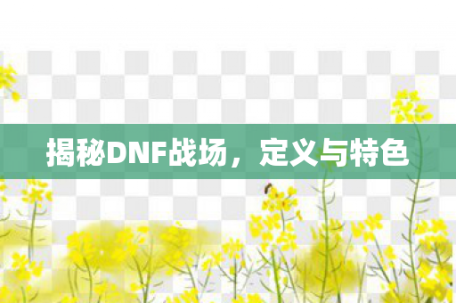 揭秘DNF战场,定义与特色 揭秘DNF战场,定义与特色