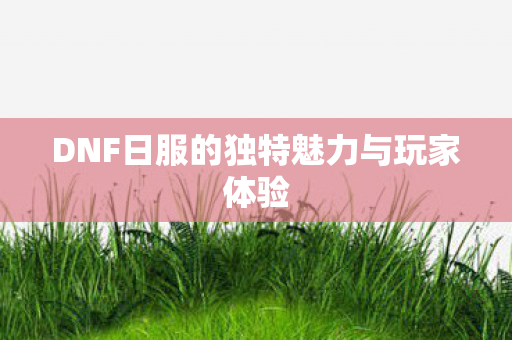DNF日服的独特魅力与玩家体验