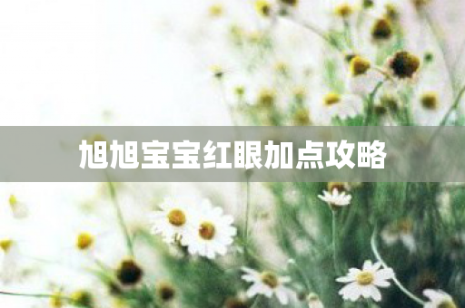 旭旭宝宝红眼加点攻略