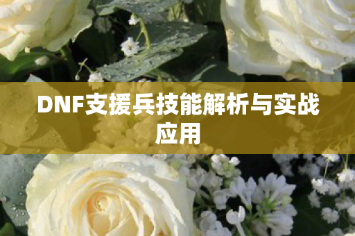 DNF支援兵技能解析与实战应用