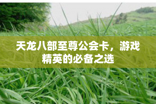 天龙八部至尊公会卡，游戏精英的必备之选