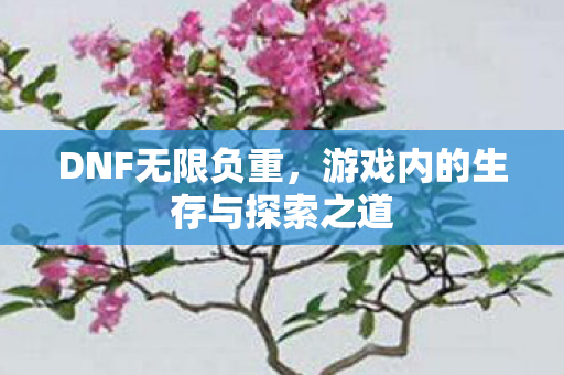 DNF无限负重,游戏内的生存与探索之道 DNF无限负重,游戏内的生存与探索之道